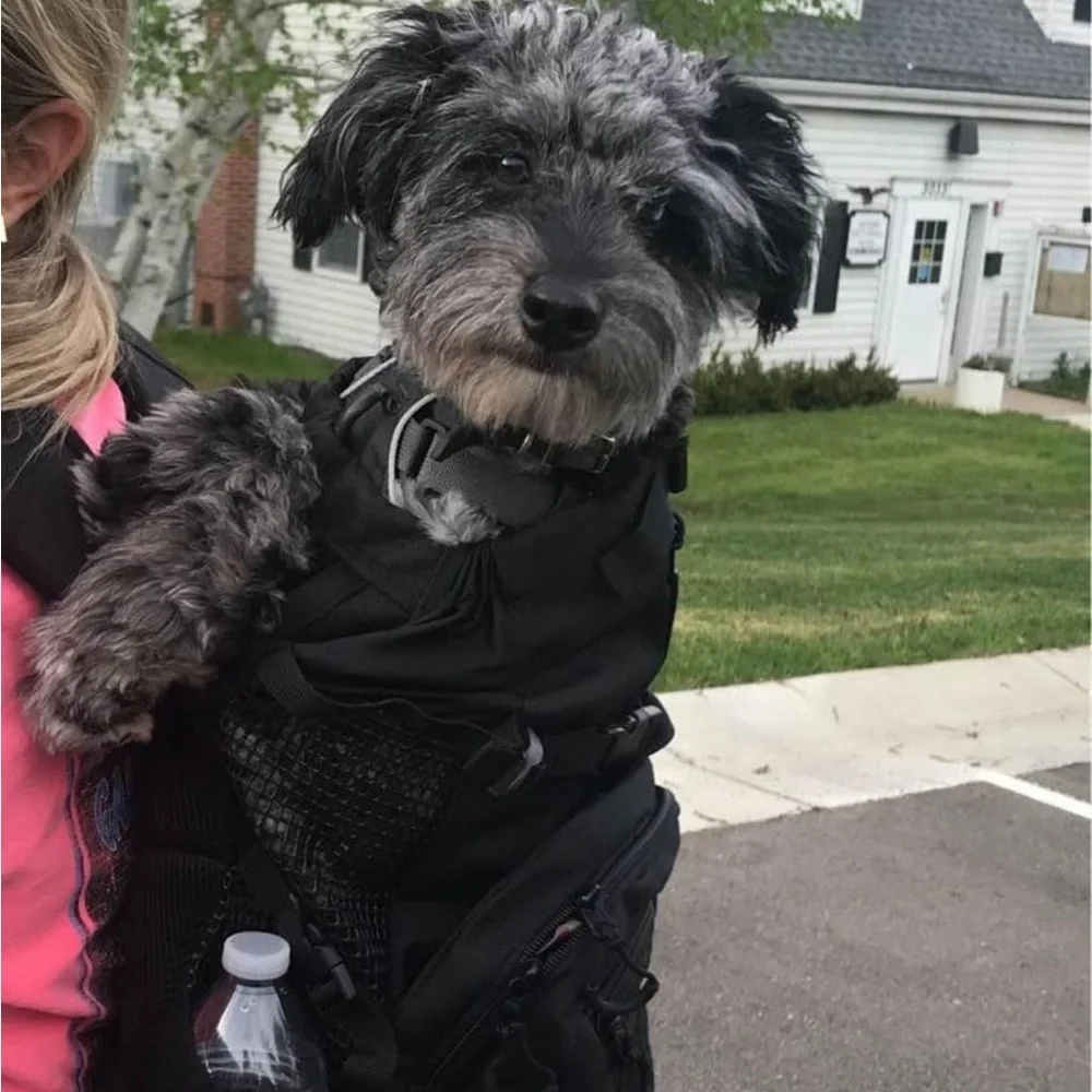 K9 Sport Sack Air 2 Forward Facing Backpack Black Dog Carrier, 12